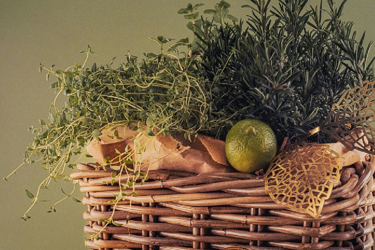 Le tre piante aromatiche perfette da piantare a gennaio per profumare ogni ambiente